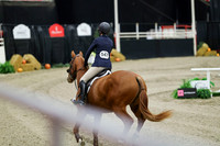01294 - Mara - 2026 Royal West - Friday October 23rd