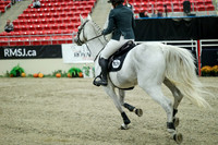 03148 - Mara - 2026 Royal West - Wednesday October 21st