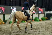 04389 - Mara - 2026 Royal West - Friday October 16th