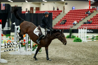 01801 - Mara - 2026 Royal West - Thursday October 15th