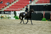 00633 - Mara - 2026 Royal West - Thursday October 15th