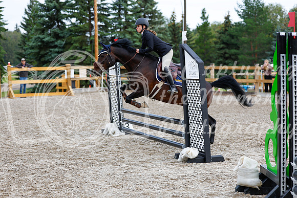 2025 - Haylee - Picco Horse Show - Saturday July 26th 00698