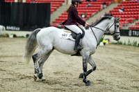 07713 - Mara - 2026 Royal West - Thursday October 22nd