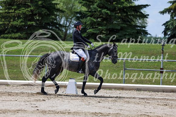 2025 - Dressage Festival - Saturday July 5th - 08998