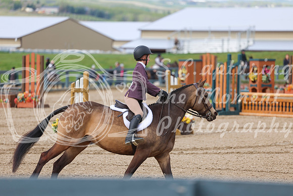 2025 - Shea - Bow Valley II - Friday May 16th - 00585