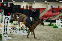 00234 - Mara - 2026 Royal West - Thursday October 15th