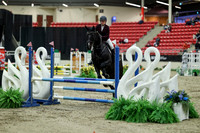 00489 - Mara - 2026 Royal West - Saturday October 2th