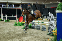 04126 - Mara - 2026 Royal West - Wednesday October 21st