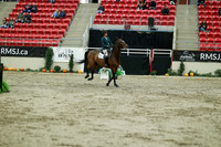 05272 - Mara - 2026 Royal West - Saturday October 24th