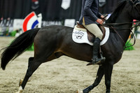 06010 - Mara - 2026 Royal West - Sunday October 18th