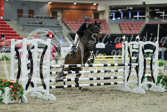 05619 - Mara - 2026 Royal West - Thursday October 15th