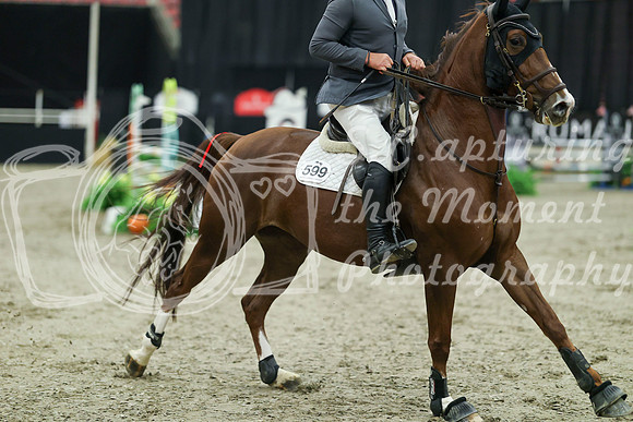 04509 - Mara - 2026 Royal West - Sunday October 18th
