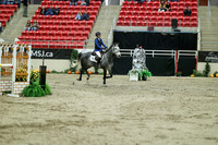 04782 - Mara - 2026 Royal West - Saturday October 24th
