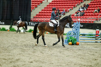 01016 - Mara - 2026 Royal West - Sunday October 18th