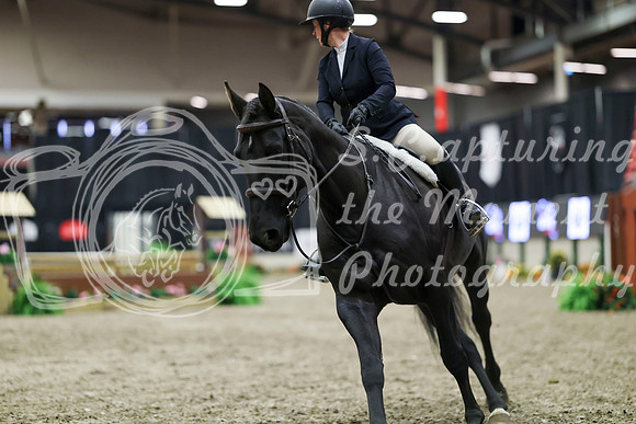 01423 - Mara - 2026 Royal West - Tuesday October 20th