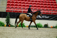 00013 - Mara - 2026 Royal West - Thursday October 15th