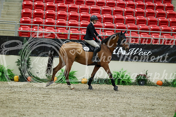 00013 - Mara - 2026 Royal West - Thursday October 15th