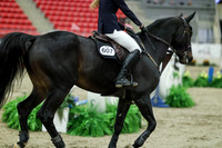 05002 - Mara - 2026 Royal West - Saturday October 24th