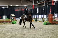 01019 - Mara - 2026 Royal West - Tuesday October 20th