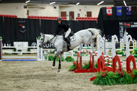 08403 - Mara - 2026 Royal West - Thursday October 22nd