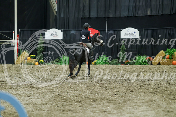 02561 - Mara - 2026 Royal West - Thursday October 15th