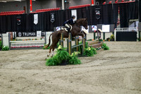 04006 - Mara - 2026 Royal West - Tuesday October 20th