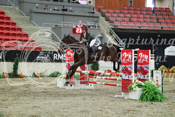 00733 - Mara - 2026 Royal West - Sunday October 18th