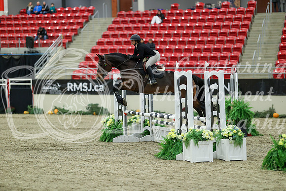 00288 - Mara - 2026 Royal West - Saturday October 2th