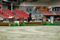 01436 - Mara - 2026 Royal West - Saturday October 17th