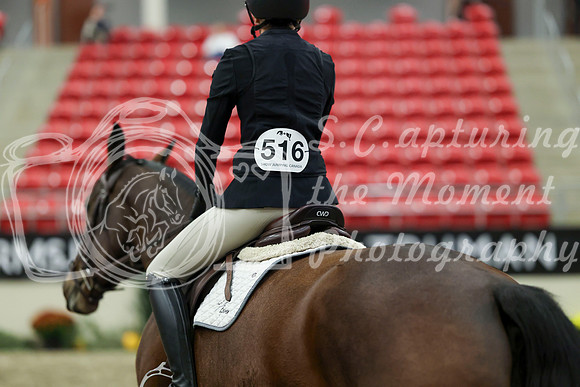01790 - Mara - 2026 Royal West - Thursday October 15th