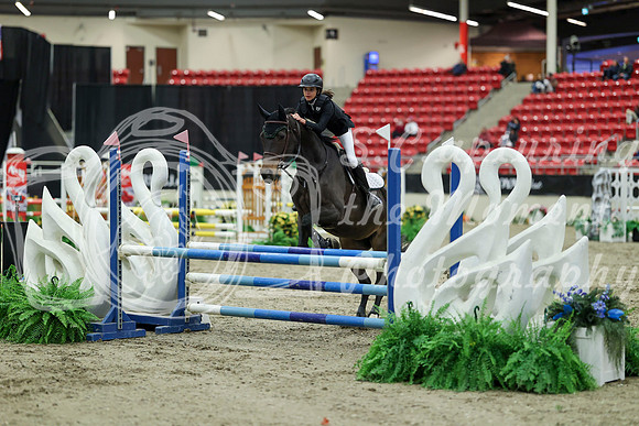 00428 - Mara - 2026 Royal West - Saturday October 2th