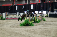 03727 - Mara - 2026 Royal West - Tuesday October 20th