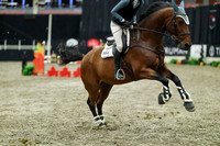 08036 - Mara - 2026 Royal West - Thursday October 15th