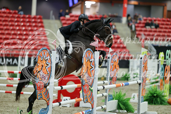 05637 - Mara - 2026 Royal West - Thursday October 15th