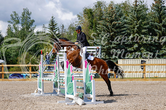 2025 - Haylee - Picco Horse Show - Sunday July 27th 02998