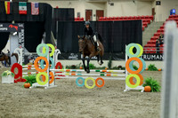 01806 - Mara - 2026 Royal West - Thursday October 15th
