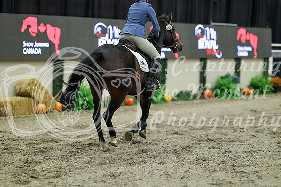 03138 - Mara - 2026 Royal West - Friday October 16th