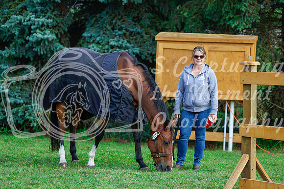 2025 - Haylee - Picco Horse Show - Saturday July 26th 00029