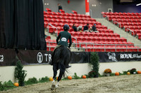 01303 - Mara - 2026 Royal West - Saturday October 17th