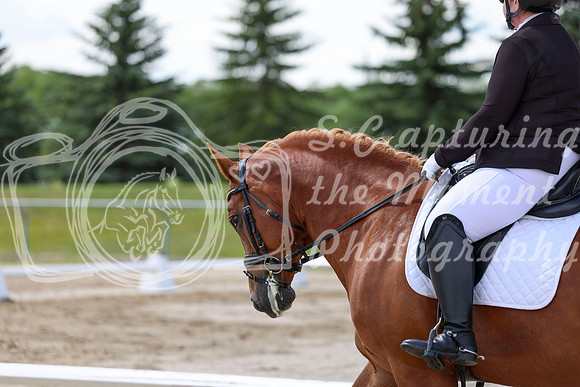 2025 - Dressage Festival - Saturday July 5th - 09309