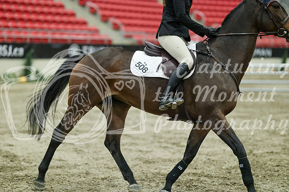 05560 - Mara - 2026 Royal West - Sunday October 18th