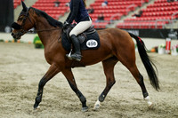08725 - Mara - 2026 Royal West - Thursday October 22nd