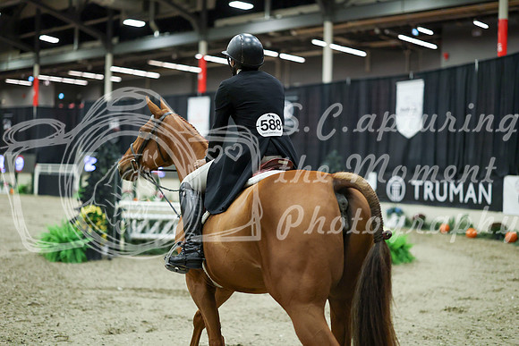 06928 - Mara - 2026 Royal West - Saturday October 17th