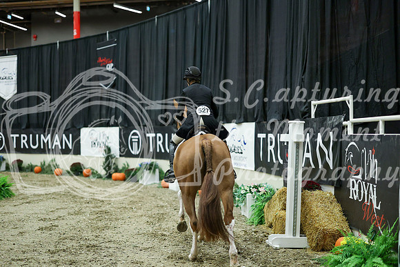 07195 - Mara - 2026 Royal West - Saturday October 17th