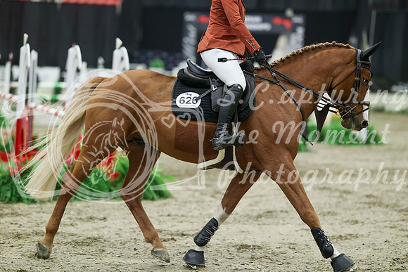 07800 - Mara - 2026 Royal West - Thursday October 22nd
