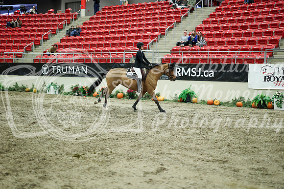 05483 - Mara - 2026 Royal West - Wednesday October 21st