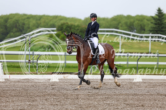 2025 - Dressage Festival - Sunday July 6th - 04274