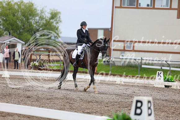 2025 - Dressage Festival - Sunday July 6th - 08116