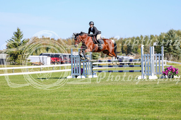 03168 - Shea - 2026 Harvest - Thursday September 17th