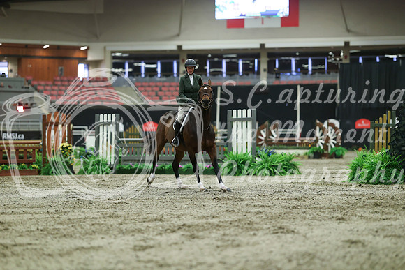 05569 - Mara - 2026 Royal West - Saturday October 17th